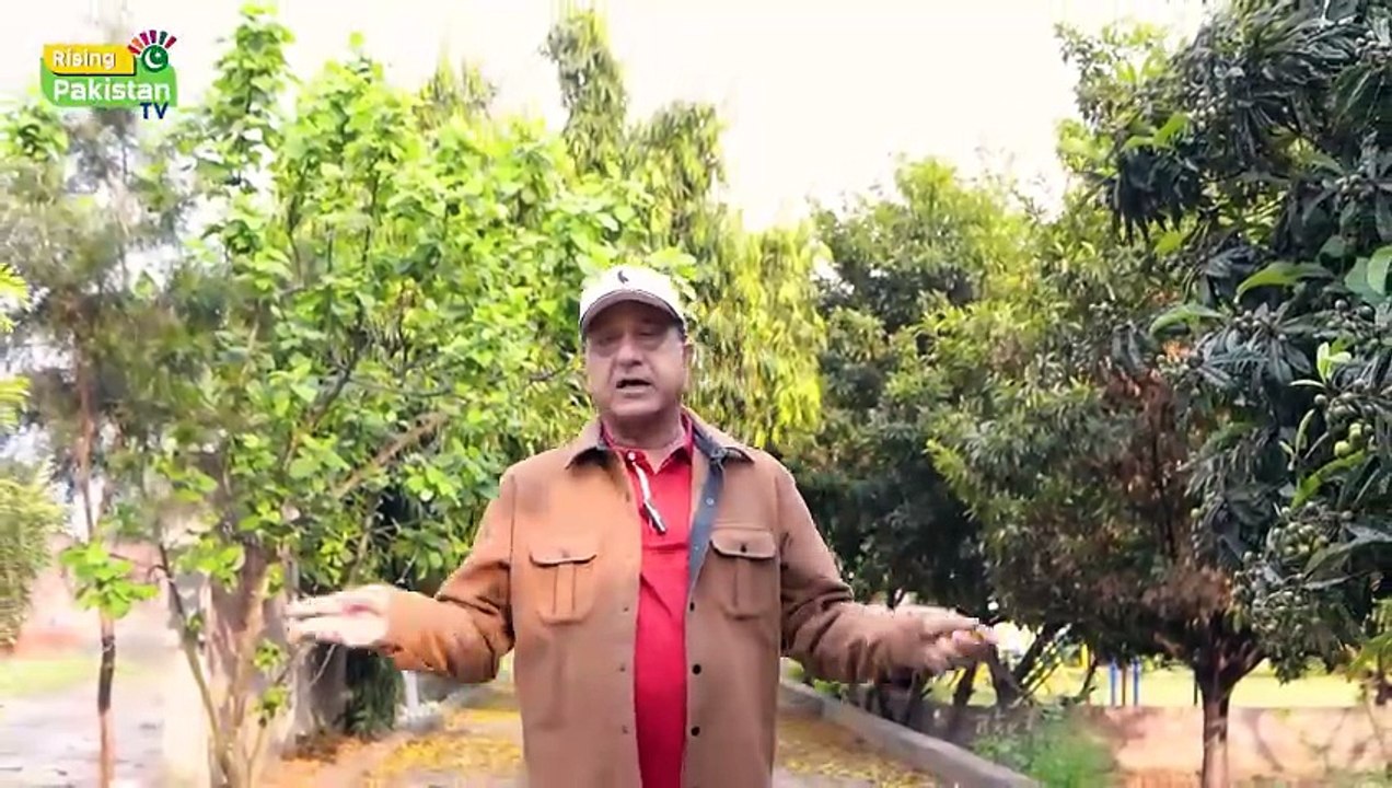 Pakistan Lacks Leadership in the Tourism Sector, Founder, President & CEO COTHM Pakistan And COTHM Global, Ahmad Shafiq