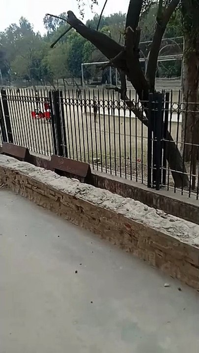 VID_20260210_135141