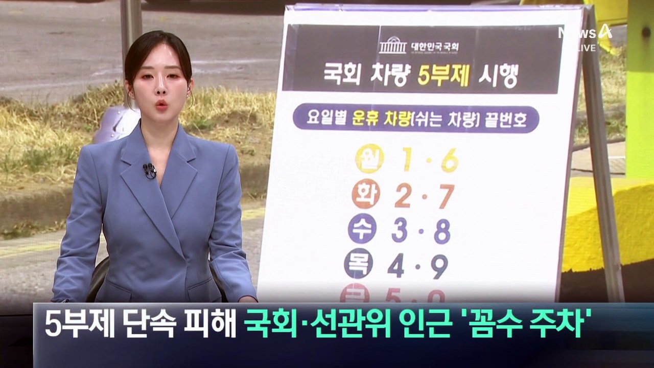 차량 5부제 단속 피해 국회·선관위 인근 ‘꼼수 주차’