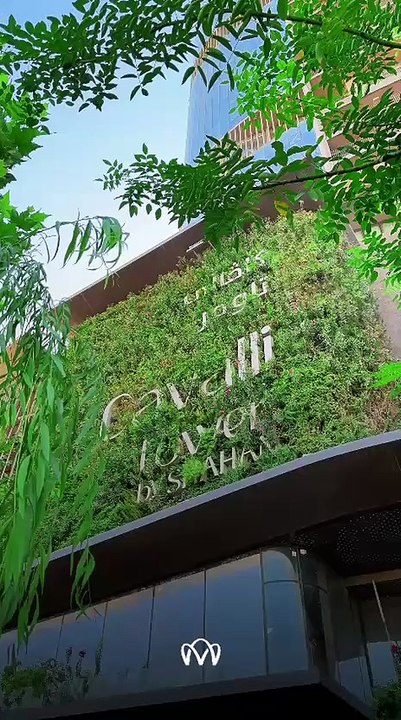 شوقەی ڕاخراو بۆ کرێ لە کاڤاڵی تاوەر