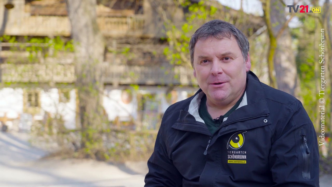 Tierischer Osterzauber im Tiergarten Schönbrunn