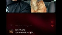 بث مباشر سلومو 🐠
