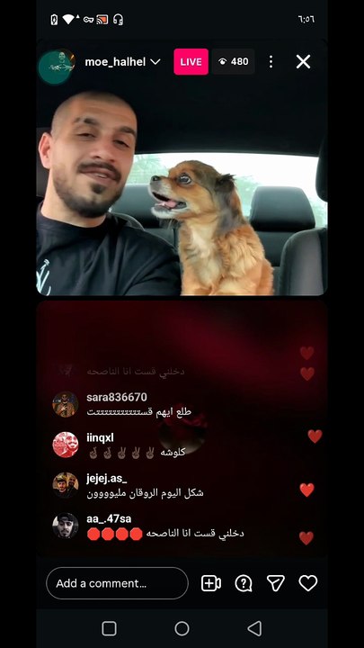 بث مباشر سلومو 🐠