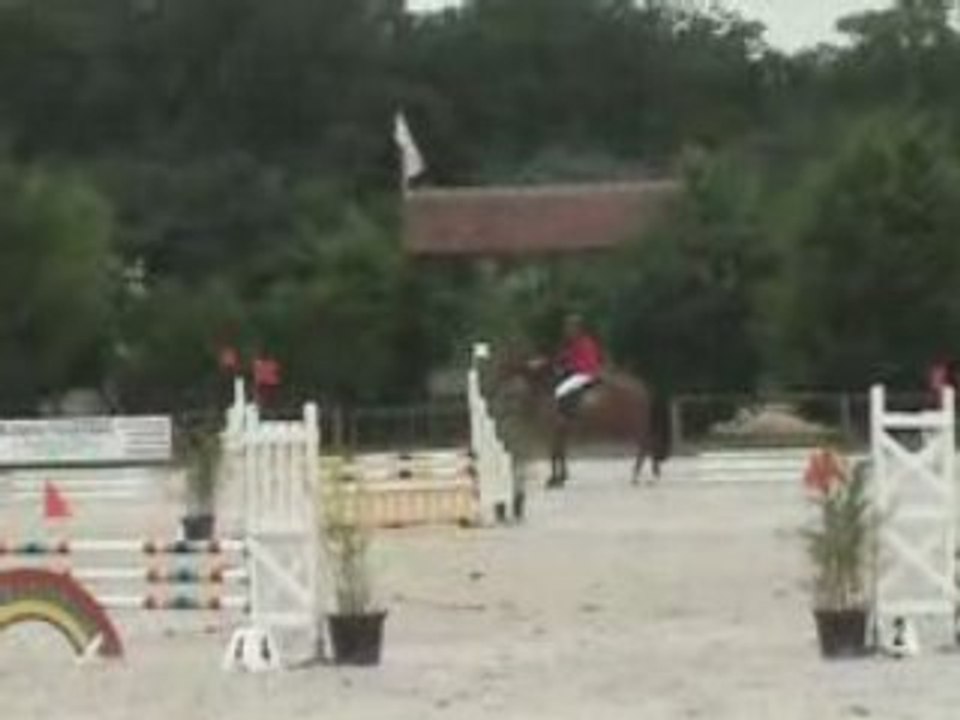 Quara ( 2004 ) mare by flipper d'elle for sale