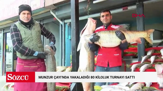 Tunceli’de dev turna: 80 kiloluk balık ilgi gördü