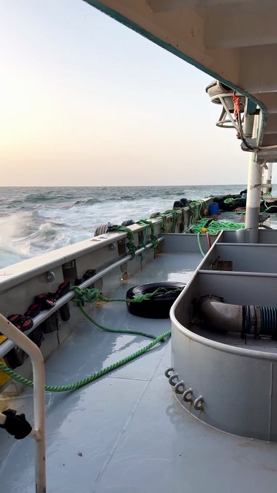 🌻Nature , Ocean and Fishing fishing life