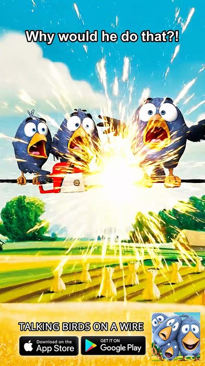 Why would he do THAT? 😱 Talking Birds On A Wire Game