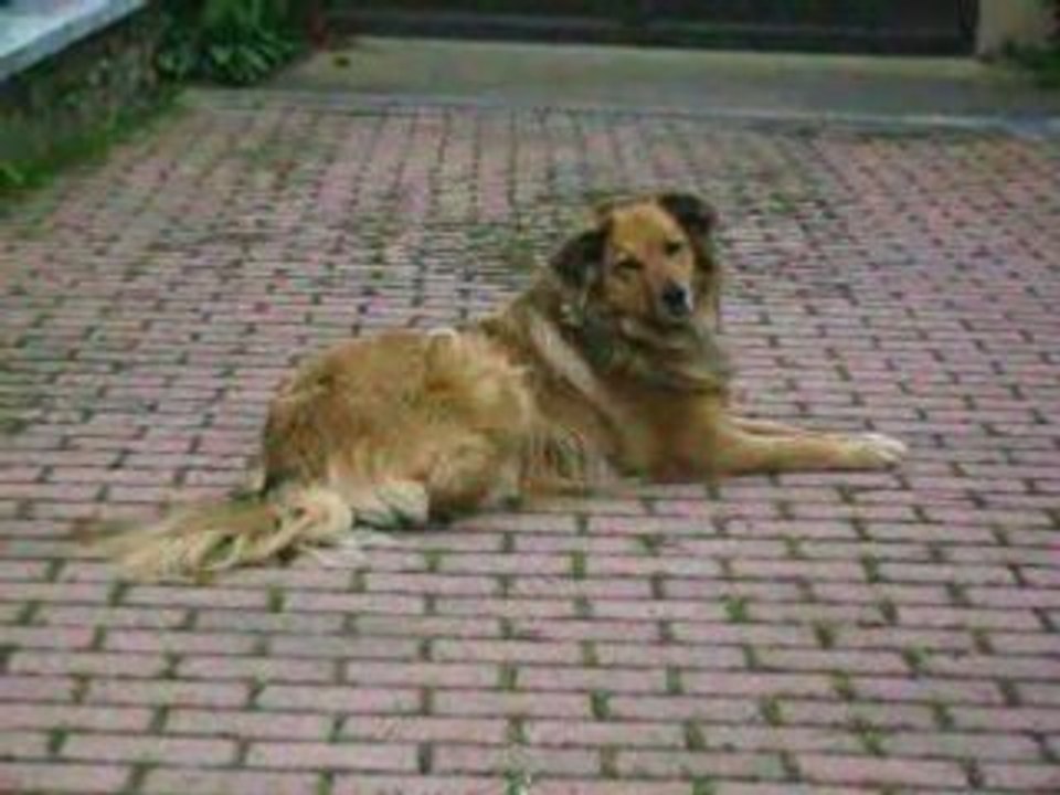 Après-midi de mercredi avec les dadas !