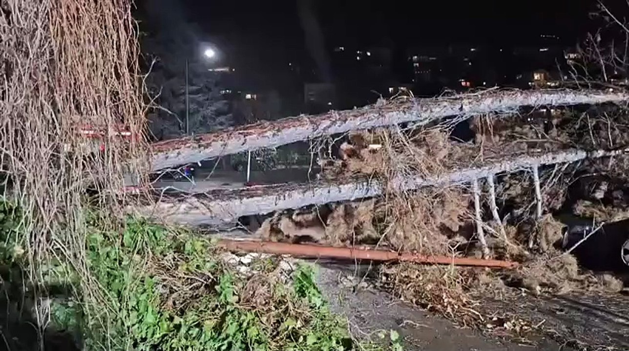 Vento forte, a Bressanone gli alberi si schiantano sulle auto