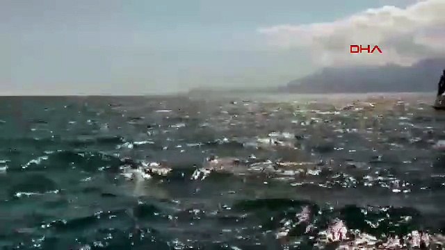 Denizin ortasında bir başına! Saatlerce kurtarılmayı bekledi