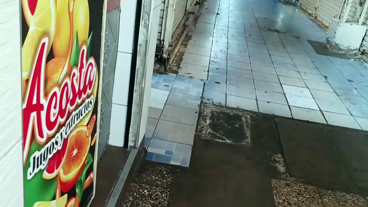 ESTADÍA PERÚ DEL 10 FEBRERO AL 12 MARZO 2026   VID_20260221_091900