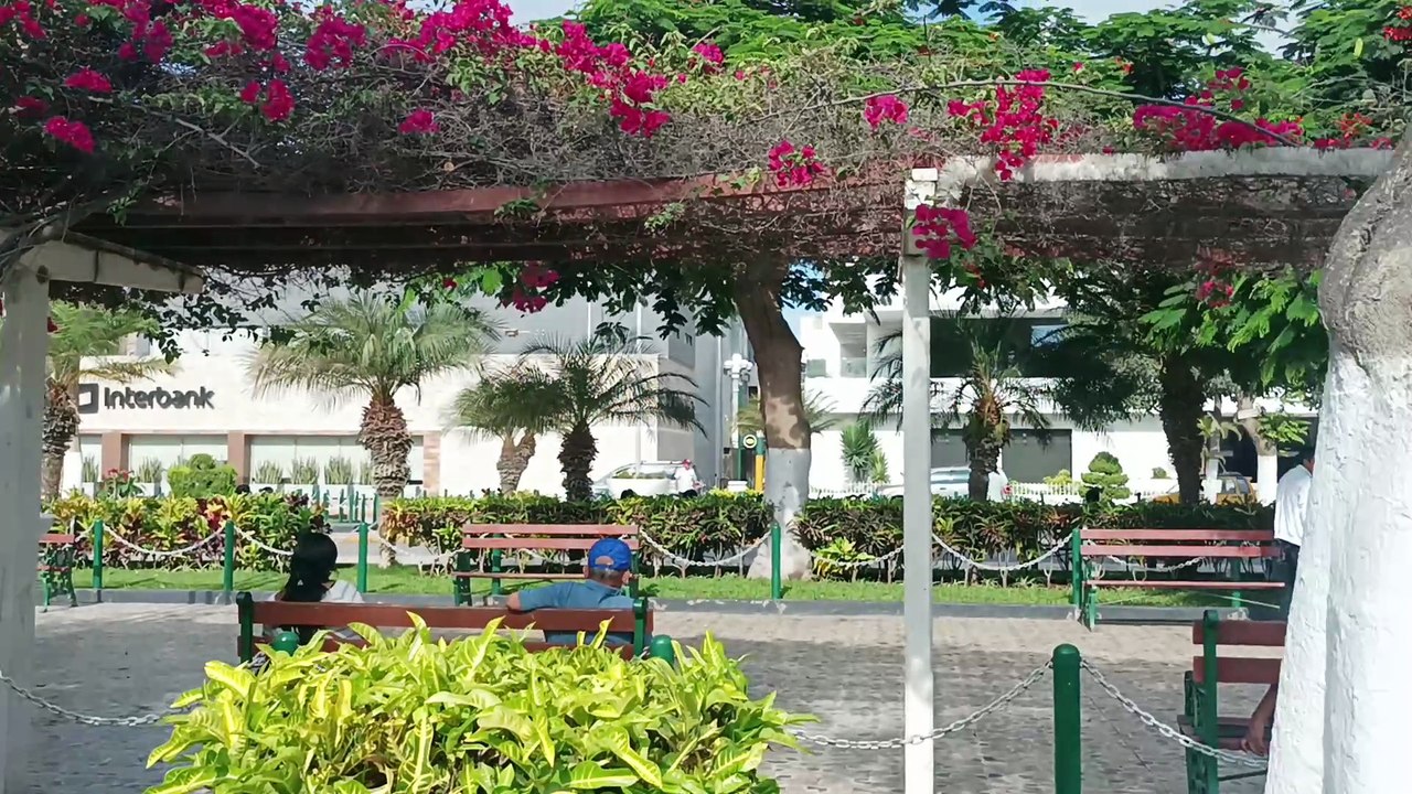 ESTADÍA PERÚ DEL 10 FEBRERO AL 12 MARZO 2026   VID_20260220_084920