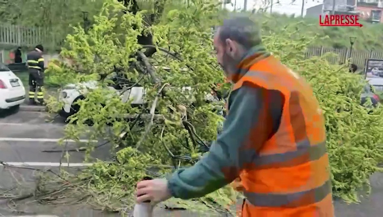 Milano, ramo di albero caduto su auto per il fo...