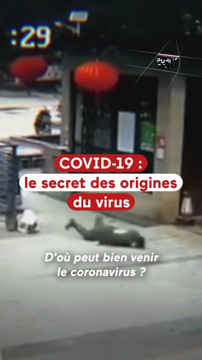 Le Covid-19 s'est-il échappé d'un laboratoire par accident ?