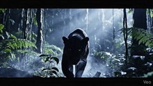 Black Panther – Silent Night Hunt