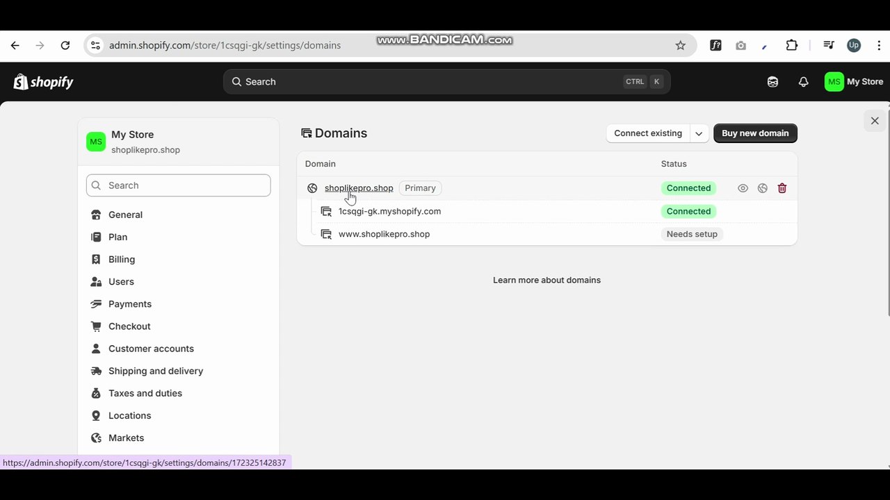 How to delete domain from shopify store