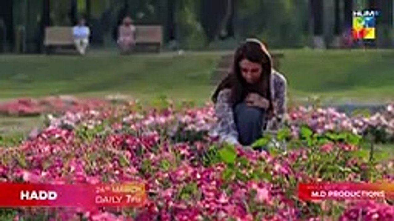 Hadd - Promo - From Tuesday, Daily At 07 PM On HUM TV - [ Nabeel Zuberi & Minsa Malik ]