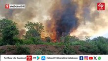 ಚಾಮರಾಜನಗರ: ಬಿಆರ್ ಟಿಯ ಬೈಲೂರು ಅರಣ್ಯ ವಲಯದಲ್ಲಿ ಬೆಂಕಿ; ಧಗ ಧಗಿಸಿದ 35 ಎಕರೆ ಕಾಡು