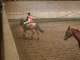 équitation et chevaux 051