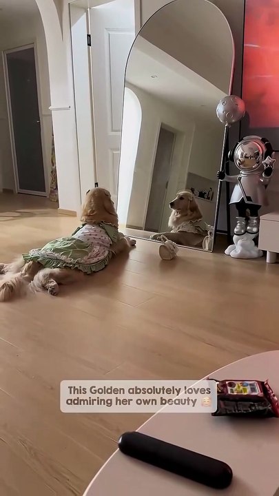 Funny Video,Entertaining Viral Moment