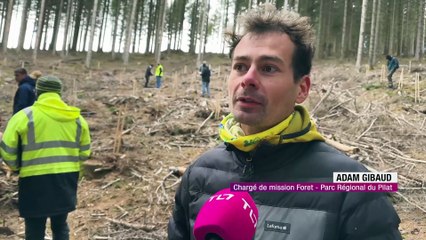 Dans le Pilat, le Sylvotroph&eacute;e met en lumi&egrave;re la gestion durable des for&ecirc;ts