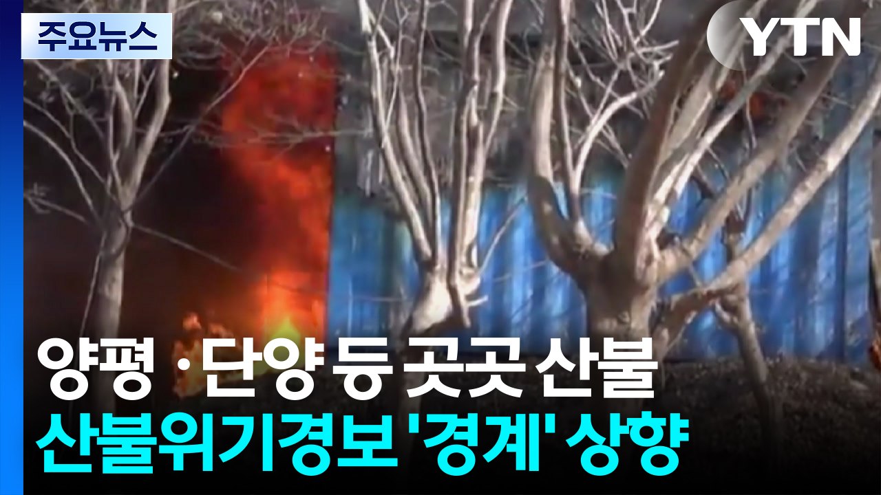양평 ·단양 등 전국 곳곳 산불...산불 위기경보 상향 / YTN