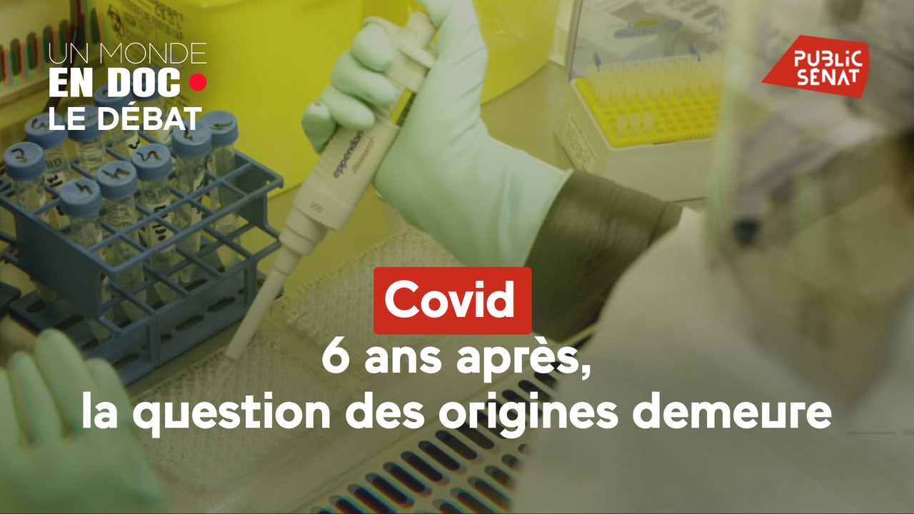 Un monde en doc - Covid : 6 ans après, la question des origines demeure