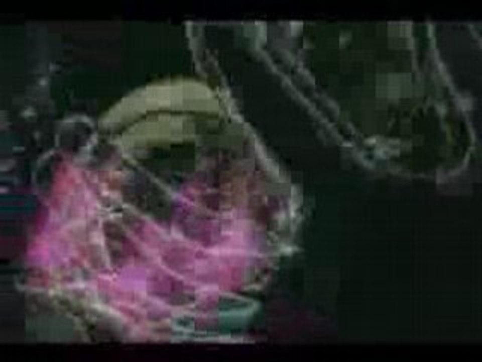 LIME IN DA COCONUT- COBBLESTONE JAZZ