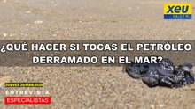 ¿Qué hacer si tocas el petróleo derramado en el mar?