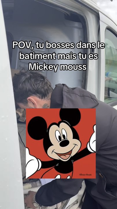 vous aimez mickey ?