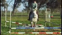 Po the wonder horse with Robyn at Pony club