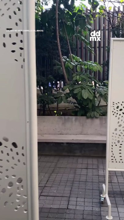 ¿De aquí a donde? EL AIRE EN FORMA DE HUÉSPED