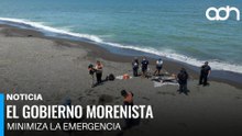 Pescadores denuncian abandono en Veracruz tras contaminación por hidrocarburo