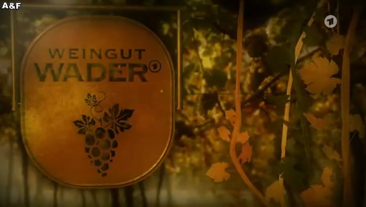 Weingut Wader -02- Das Familiengeheimnis