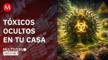 El modelo genético que revela el daño de la contaminación en tus hijos |  Multiverso Milenio