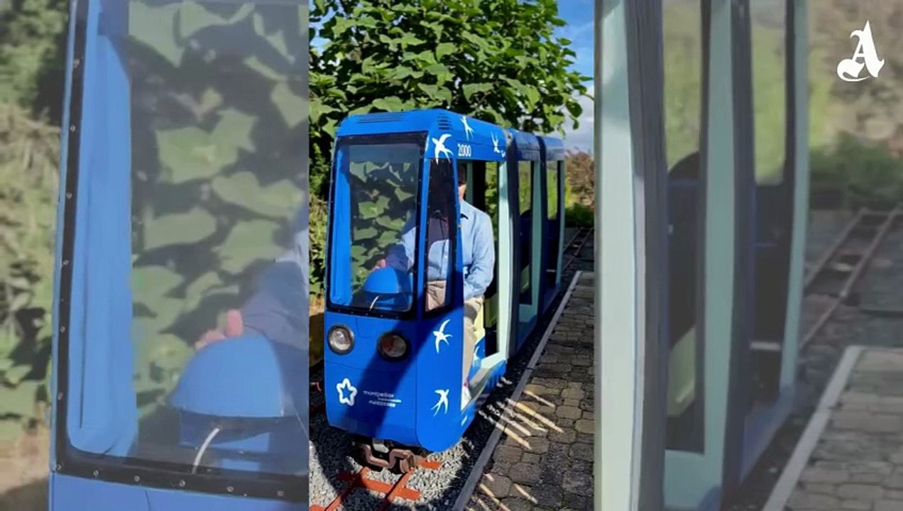 Simon's backyard tramway