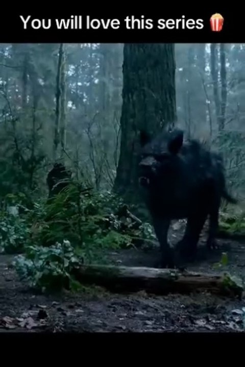 Dog_save_the_solider_amazing_top_movies_hollywood_hindi #part1