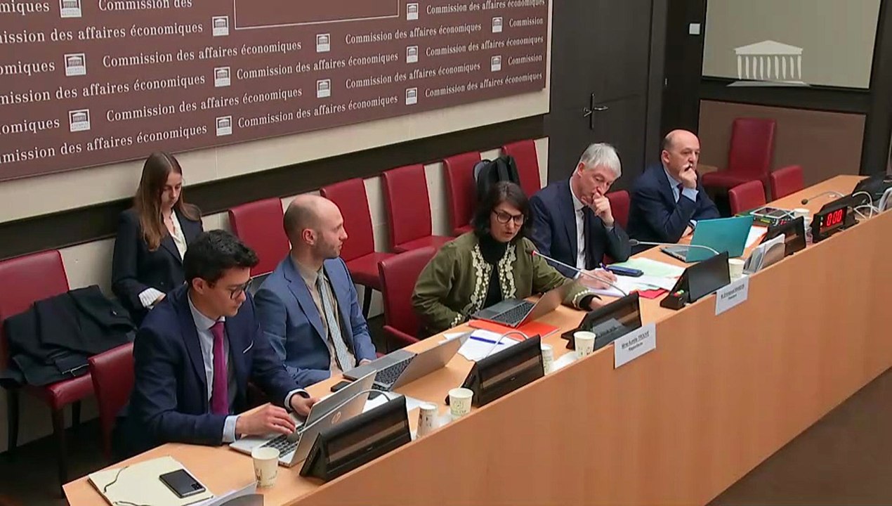 Prédation des capacités productives françaises par les fonds spéculatifs : Auditions diverses - Jeudi 26 mars 2026
