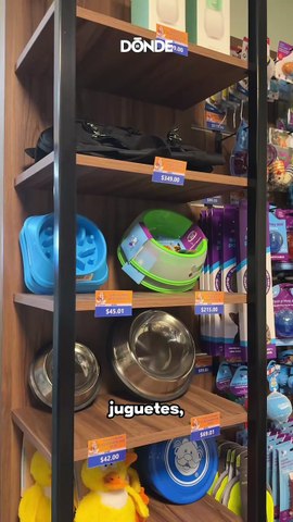 Simi Pet en CDMX: Café y estética veterinaria con consultas en $75