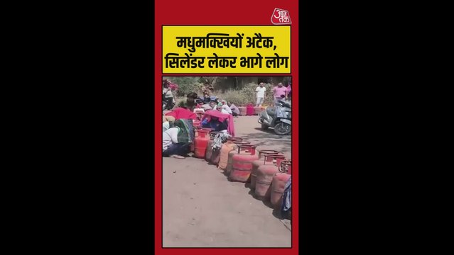 सिलेंडर के लिए लाइन में खड़े थे लोग तभी मधुमक्खियों ने कर दिया अटैक