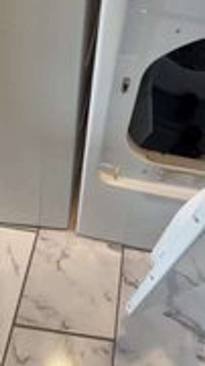 Fake Snake in Dryer Leads to Funny Prank Reaction