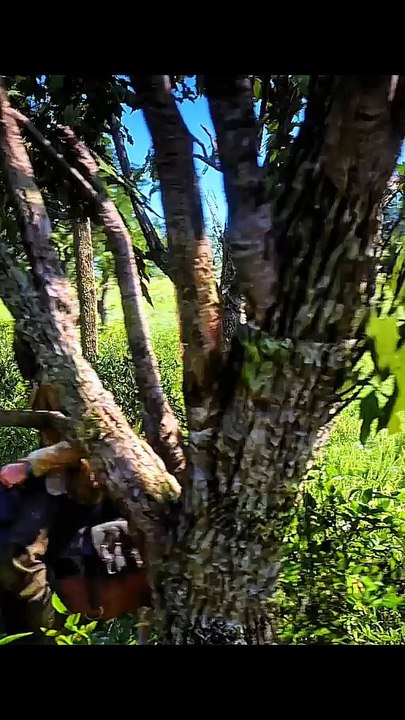 Arthur Morgan vs Lemoyne Raiders - Epic Showdown in RDR2 PC | Hunting Down the Outlaws!