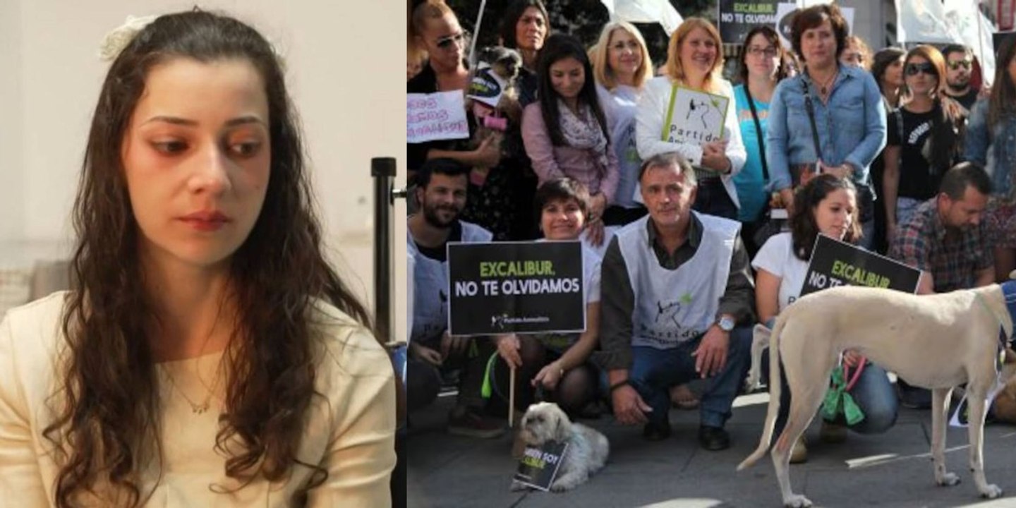 ¿Por qué miles de ciudadanos salieron a la calle contra Rajoy por el perro Excálibur y nadie por la eutanasia de Noelia?