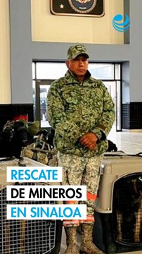 Ejército despliega especialistas y binomios caninos para rescatar a 4 mineros atrapados en Sinaloa