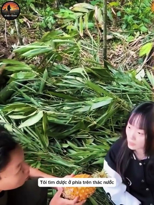Tập 2- 30 Ngày Sinh Tồn Cùng Cô Em Gái Xinh Trên Hoang Đảo