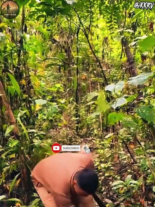 Phần 1- Thử Thách Sinh Tồn Tại Đảo Hoang Hemahera Trong 20 Ngày