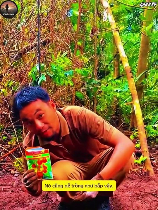 phần 8- Sinh Tồn Trên Đảo Hoang - Bắt Cua Biển & Bạch Tuộc Khổng Lồ