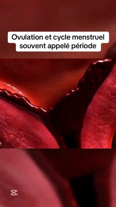 Ovulation et cycle menstruel souvent appelé période #ovulation #sang #sante #Science #femme