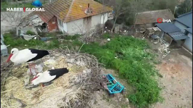 Yaren Leylek ve Adem amcaya yoğun ilgi
