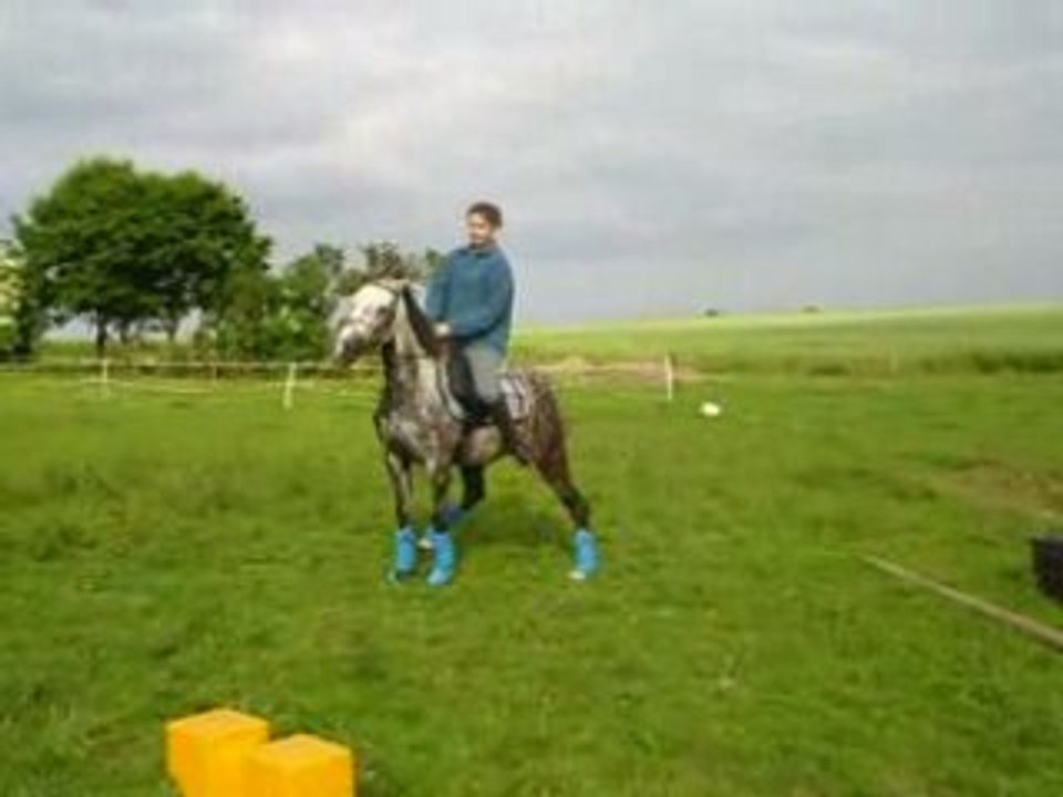 Photo 1331633